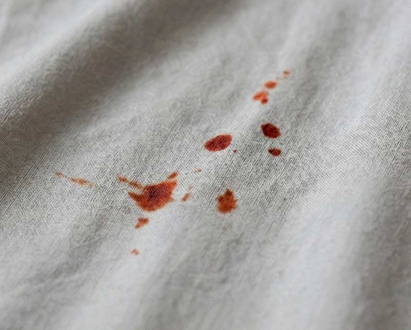 Σημάδια προσβολής από κοριούς - Κηλίδες αίματος